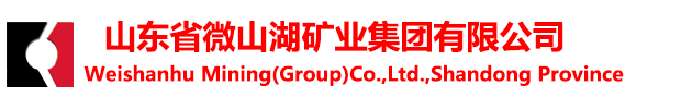 开云手机web版登录入口